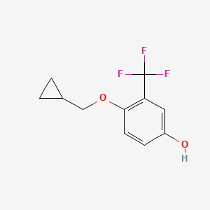 molecular formula C11H11F3O2 B566994 4-(Cyclopropylmethoxy)-3-(trifluoromethyl)phenol CAS No. 1243463-05-9