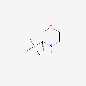 molecular formula C8H17NO B566998 (R)-3-(tert-butyl)morpholine CAS No. 1286768-66-8