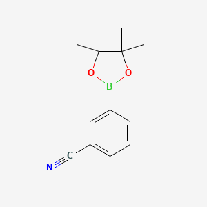molecular formula C14H18BNO2 B567100 2-Methyl-5-(4,4,5,5-tetramethyl-1,3,2-dioxaborolan-2-yl)benzonitrile CAS No. 1220219-11-3