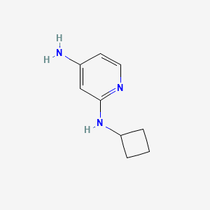 molecular formula C9H13N3 B567126 N2-cyclobutylpyridine-2,4-diamine CAS No. 1248791-40-3