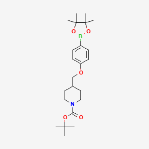 molecular formula C23H36BNO5 B567160 tert-Butyl 4-[4-(4,4,5,5-tetramethyl[1,3,2]dioxaborolan-2-yl)phenoxymethyl]piperidine-1-carboxylate CAS No. 1310383-45-9