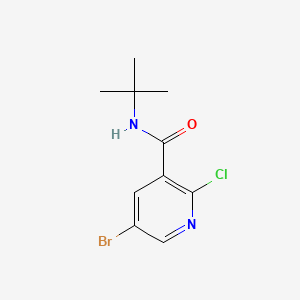 5-Bromo-N-(tert-butyl)-2-chloronicotinamide