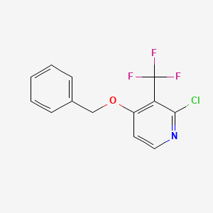 molecular formula C13H9ClF3NO B567250 4-(Benzyloxy)-2-chloro-3-(trifluoromethyl)pyridine CAS No. 1254981-27-5