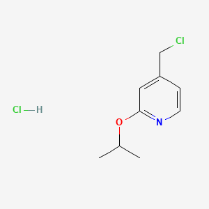 molecular formula C9H13Cl2NO B567293 4-(Chloromethyl)-2-isopropoxypyridine hydrochloride CAS No. 1357946-36-1