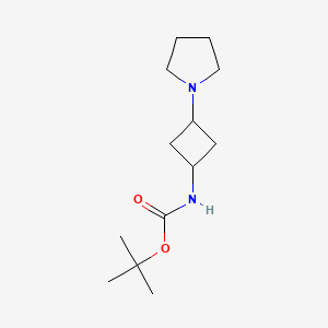 molecular formula C13H24N2O2 B567359 Tert-butyl 3-(pyrrolidin-1-yl)cyclobutylcarbamate CAS No. 1246739-82-1