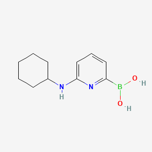 molecular formula C11H17BN2O2 B567391 (6-(Cyclohexylamino)pyridin-2-yl)boronic acid CAS No. 1310384-86-1