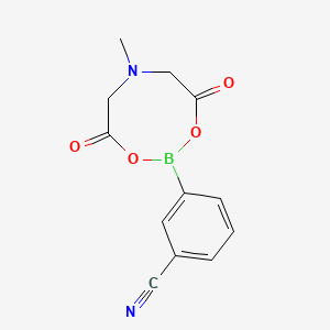 molecular formula C12H11BN2O4 B567423 3-(6-Methyl-4,8-dioxo-1,3,6,2-dioxazaborocan-2-yl)benzonitrile CAS No. 1257738-14-9