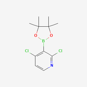 molecular formula C11H14BCl2NO2 B567436 2,4-Dichloro-3-(4,4,5,5-tetramethyl-1,3,2-dioxaborolan-2-yl)pyridine CAS No. 1257651-49-2