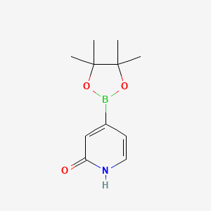molecular formula C11H16BNO3 B567446 4-(4,4,5,5-四甲基-1,3,2-二氧杂硼环-2-基)吡啶-2(1H)-酮 CAS No. 1256358-90-3