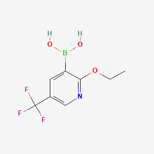 molecular formula C8H9BF3NO3 B567503 (2-Ethoxy-5-(trifluoromethyl)pyridin-3-yl)boronic acid CAS No. 1218790-66-9