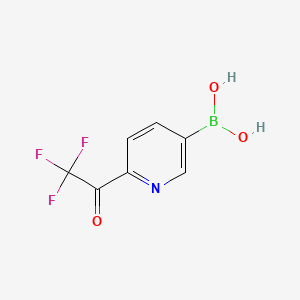 (6-(2,2,2-Trifluoroacetyl)pyridin-3-yl)boronic acid