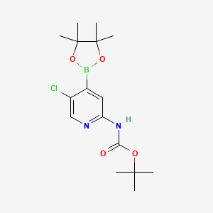 molecular formula C16H24BClN2O4 B567531 2-(Tertbutyloxycarbonylamino)-5-chloropyridine-4-boronic acid pinacol ester CAS No. 1222522-39-5