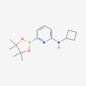 N-Cyclobutyl-6-(4,4,5,5-tetramethyl-1,3,2-dioxaborolan-2-yl)pyridin-2-amine