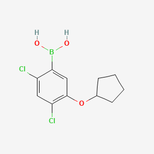 molecular formula C11H13BCl2O3 B567564 2,4-Dichloro-5-(cyclopentyloxy)phenylboronic acid CAS No. 1256354-90-1