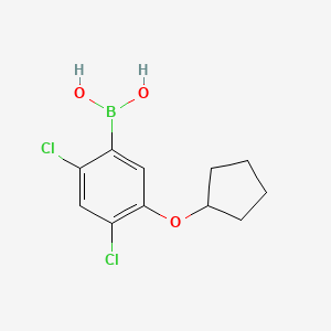 2,4-Dichloro-5-(cyclopentyloxy)phenylboronic acid