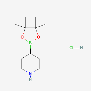 4-(4,4,5,5-Tetramethyl-1,3,2-dioxaborolan-2-yl)piperidine hydrochloride