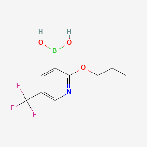 molecular formula C9H11BF3NO3 B567658 2-Propoxy-5-(trifluoromethyl)pyridine-3-boronic acid CAS No. 1218790-63-6