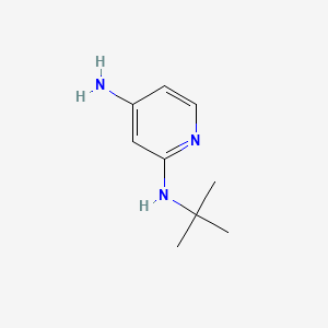 molecular formula C9H15N3 B567665 N2-tert-butylpyridine-2,4-diamine CAS No. 1249985-74-7