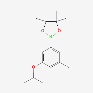 molecular formula C16H25BO3 B567685 2-(3-Isopropoxy-5-methylphenyl)-4,4,5,5-tetramethyl-1,3,2-dioxaborolane CAS No. 1218789-75-3