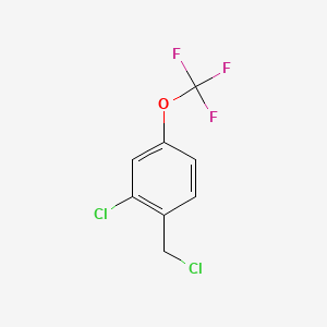 molecular formula C8H5Cl2F3O B567716 2-Chloro-4-(trifluoromethoxy)benzyl chloride CAS No. 1261581-56-9