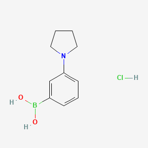 molecular formula C10H15BClNO2 B567725 (3-(Pyrrolidin-1-yl)phenyl)boronic acid hydrochloride CAS No. 1218790-77-2