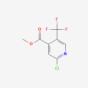 molecular formula C8H5ClF3NO2 B567736 Methyl 2-chloro-5-(trifluoromethyl)pyridine-4-carboxylate CAS No. 1246685-28-8