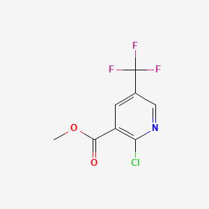 molecular formula C8H5ClF3NO2 B567760 Methyl 2-chloro-5-(trifluoromethyl)nicotinate CAS No. 1360934-51-5
