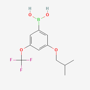 molecular formula C11H14BF3O4 B567773 3-异丁氧基-5-(三氟甲氧基)苯硼酸 CAS No. 1256346-03-8