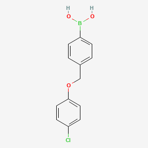 molecular formula C13H12BClO3 B567776 (4-((4-氯苯氧基)甲基)苯基)硼酸 CAS No. 1256358-72-1
