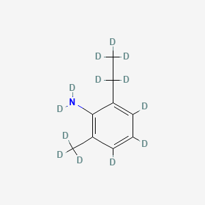 molecular formula C9H13N B567785 6-Ethyl-o-toluidine-D13 CAS No. 1219794-93-0