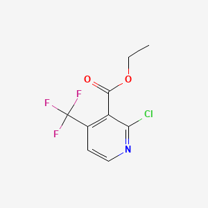 molecular formula C9H7ClF3NO2 B567868 Ethyl 2-chloro-4-(trifluoromethyl)nicotinate CAS No. 1221792-56-8
