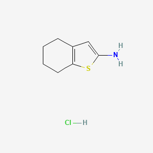 molecular formula C8H12ClNS B567876 4,5,6,7-Tetrahydrobenzo[b]thiophen-2-amine hydrochloride CAS No. 1216102-10-1