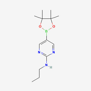 molecular formula C13H22BN3O2 B567947 N-Propyl-5-(4,4,5,5-tetramethyl-1,3,2-dioxaborolan-2-yl)pyrimidin-2-amine CAS No. 1218791-47-9