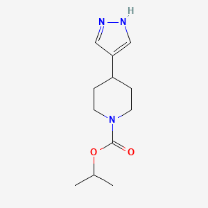 molecular formula C12H19N3O2 B567956 4-(1H-吡唑-4-基)哌啶-1-甲酸异丙酯 CAS No. 1245645-53-7
