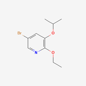 molecular formula C10H14BrNO2 B567963 5-Bromo-2-ethoxy-3-isopropoxypyridine CAS No. 1241752-43-1