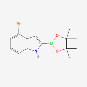 molecular formula C14H17BBrNO2 B567967 4-BROMO-1H-INDOLE-2-BORONIC ACID PINACOL ESTER CAS No. 1256358-97-0