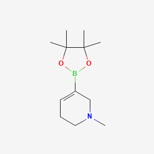 molecular formula C12H22BNO2 B567976 1-Methyl-5-(4,4,5,5-tetramethyl-1,3,2-dioxaborolan-2-YL)-1,2,3,6-tetrahydropyridine CAS No. 1254982-25-6