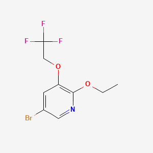 molecular formula C9H9BrF3NO2 B567992 5-Bromo-2-ethoxy-3-(2,2,2-trifluoroethoxy)pyridine CAS No. 1241752-46-4