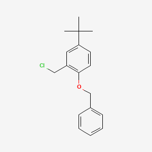 molecular formula C18H21ClO B568029 1-(Benzyloxy)-4-(tert-butyl)-2-(chloromethyl)benzene CAS No. 1246213-43-3