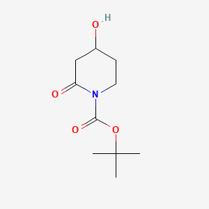 molecular formula C10H17NO4 B568042 tert-Butyl 4-hydroxy-2-oxopiperidine-1-carboxylate CAS No. 1245646-10-9