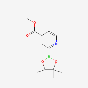 molecular formula C14H20BNO4 B568046 Ethyl 2-(4,4,5,5-tetramethyl-1,3,2-dioxaborolan-2-yl)isonicotinate CAS No. 1241898-91-8