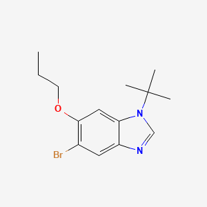 molecular formula C14H19BrN2O B568065 5-Bromo-1-(tert-butyl)-6-propoxy-1H-benzo[d]imidazole CAS No. 1314985-53-9