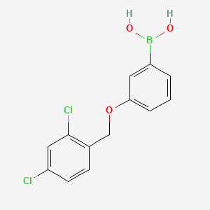 molecular formula C13H11BCl2O3 B568093 (3-((2,4-Dichlorobenzyl)oxy)phenyl)boronic acid CAS No. 1256355-73-3