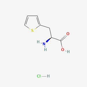 (S)-2-amino-3-(thiophen-2-yl)propanoic acid hydrochloride
