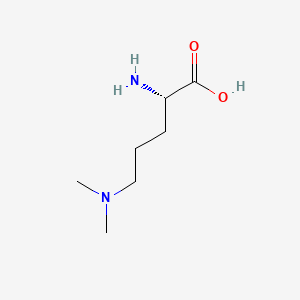 molecular formula C7H16N2O2 B568663 N,N-Dimethylornithine CAS No. 121428-46-4