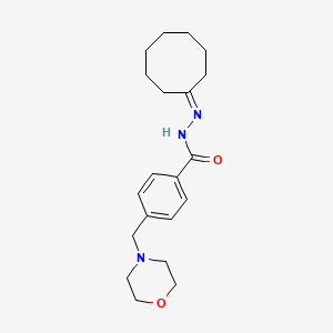 molecular formula C20H29N3O2 B5686747 N'-CYCLOOCTYLIDENE-4-[(MORPHOLIN-4-YL)METHYL]BENZOHYDRAZIDE 