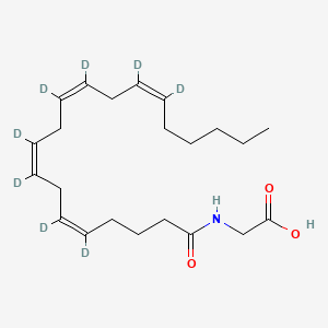molecular formula C22H35NO3 B568725 Arachidonoyl Glycine-d8 CAS No. 1159908-44-7