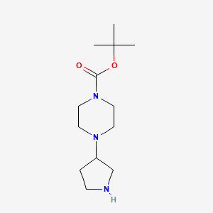 molecular formula C13H25N3O2 B568872 Tert-butyl 4-(pyrrolidin-3-YL)piperazine-1-carboxylate CAS No. 885959-36-4