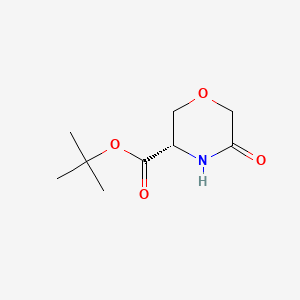 molecular formula C9H15NO4 B569002 (3S)-5-Oxo-3-morpholinecarboxylic Acid 1,1-Dimethylethyl Ester CAS No. 1391062-29-5