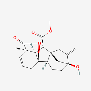 Gibberellin A5 methyl ester